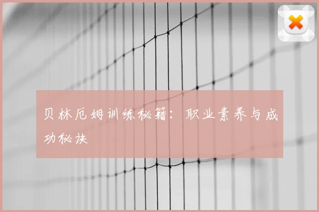 贝林厄姆训练秘籍：职业素养与成功秘诀