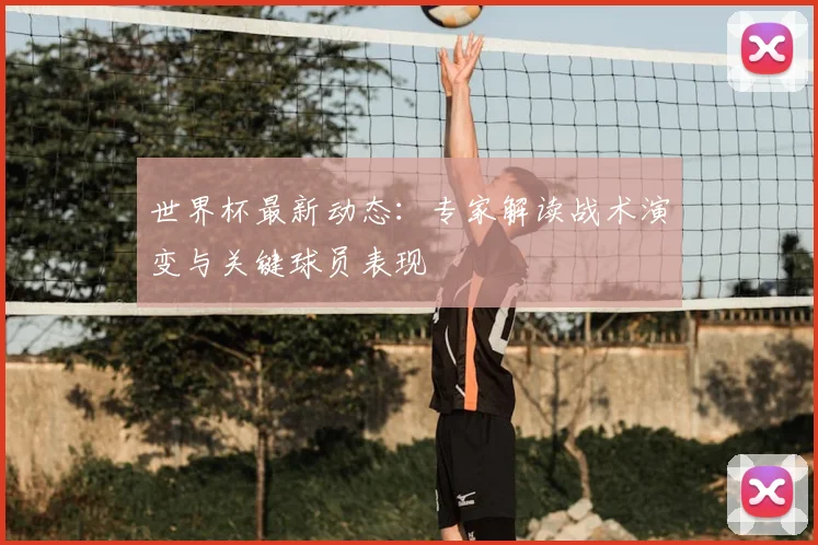 世界杯最新动态：专家解读战术演变与关键球员表现