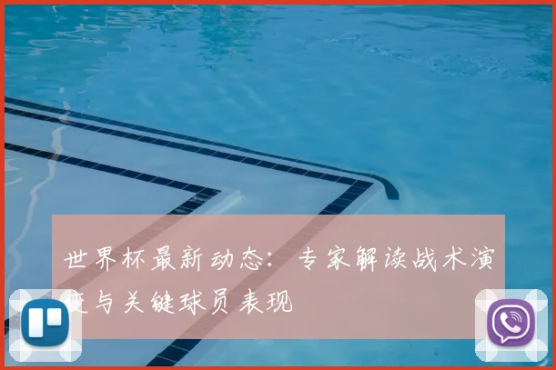 世界杯最新动态:专家解读战术演变与关键球员表现